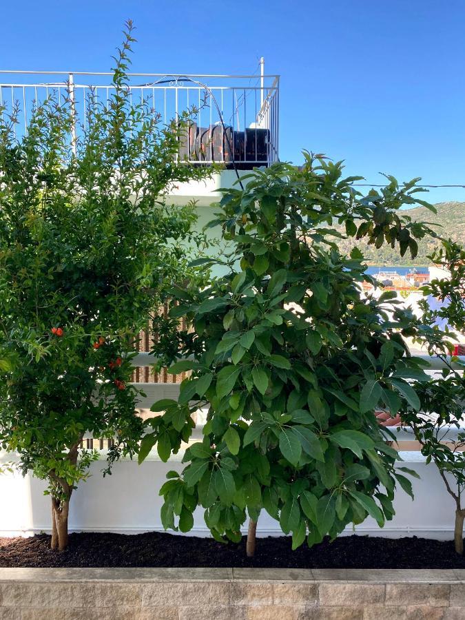 Citrus Apartment Argostoli  Exterior foto